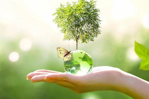 Scarpe e ciabatte ecologiche per un mondo più pulito